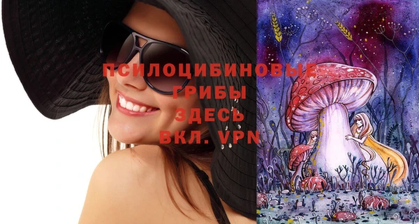 spice Алексин