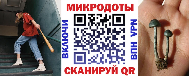 OMG маркетплейс дарк нет телеграм Горбатов Галлюциногенные грибы Psilocybine cubensis наркошоп